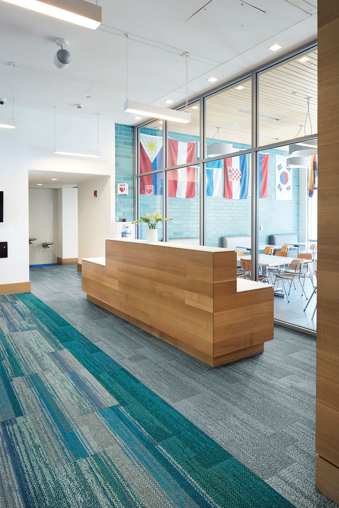 Interface Aerial Flying Colors AE311, AE315 and AE317 plank carpet tile in school lobby imagen número 11